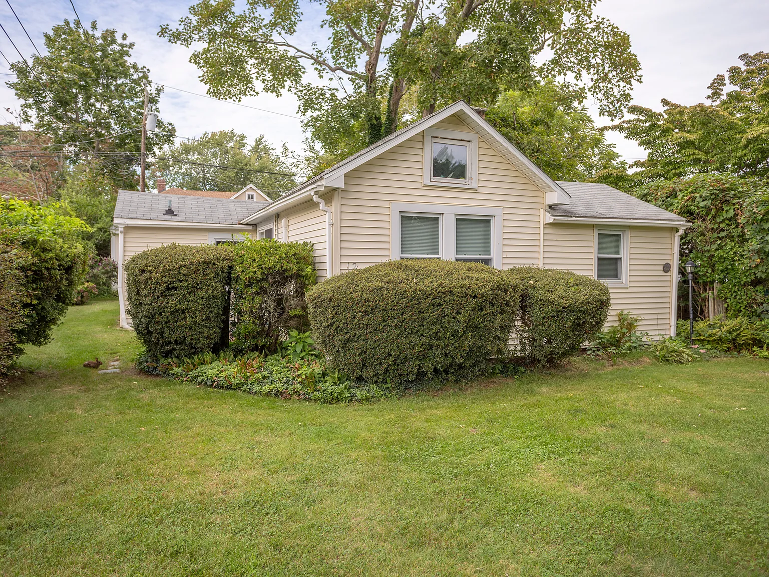1 bed, 536 sqft, $1,700 — Photo 1