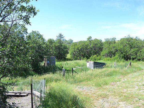 Small Animal Space