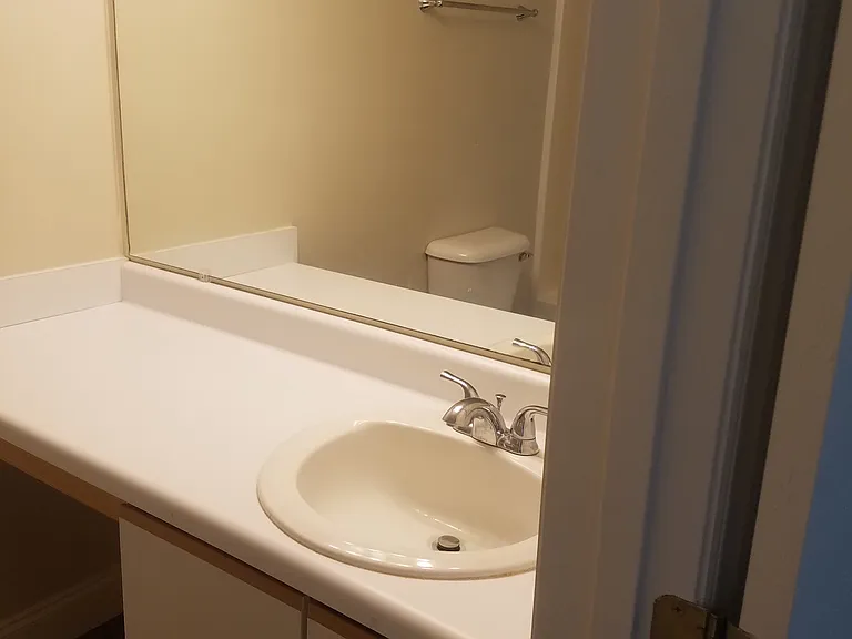 4404 Jasmine Cove Way — Photo 21