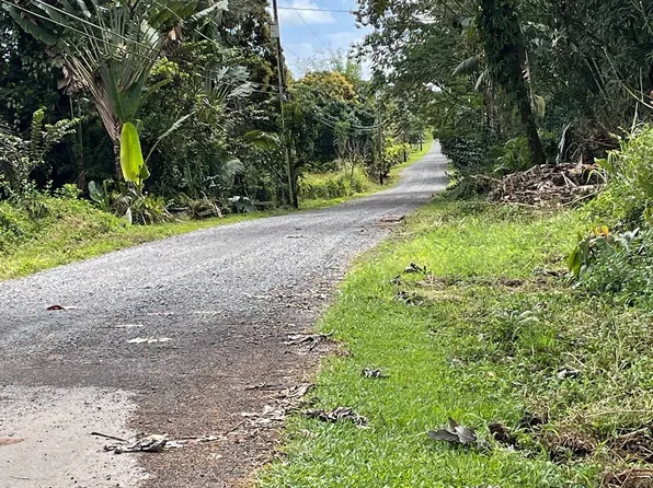 15-2000 16th Ave Lot 273, Keaau, HI 96749