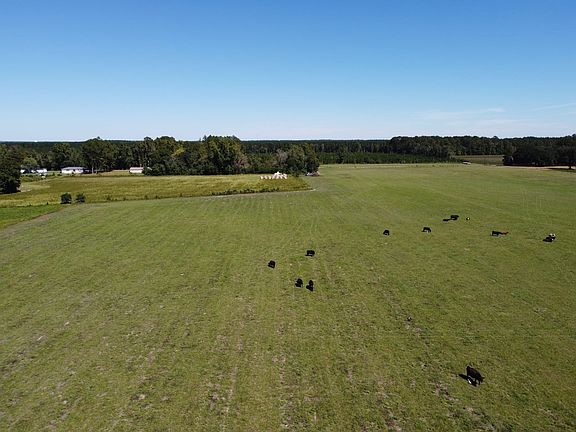 Dji 0517