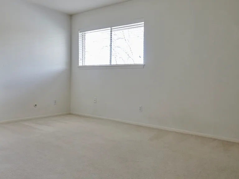 10714 Pagewood Dr — Photo 24
