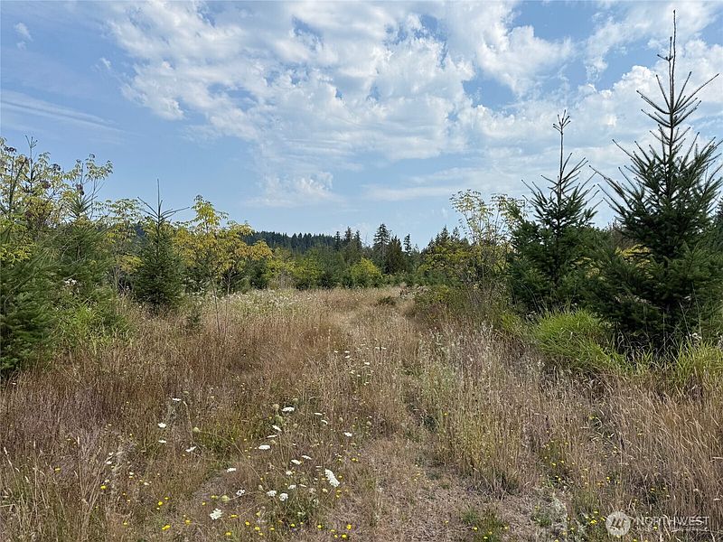 3rd image of 14 xx Spencer Road