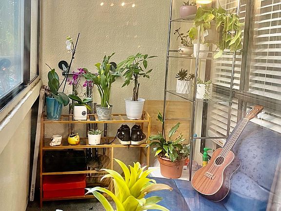 3rd image of 1551 Southgate Ave APT 109