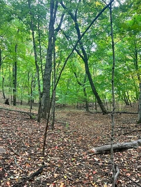 2nd image of E Lake Lizzie Rd