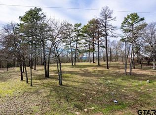 4235 An County Rd #404, Palestine, TX 75803