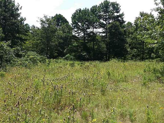 2nd image of 5 Purley Farms Cir