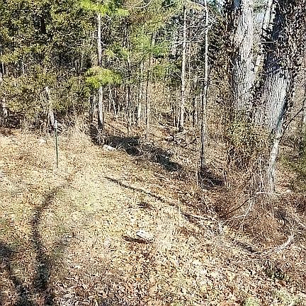 4th image of 23417 Highway Tt