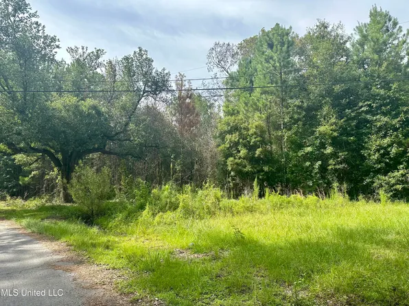 Mitchell Chapel Rd, Poplarville, MS 39470