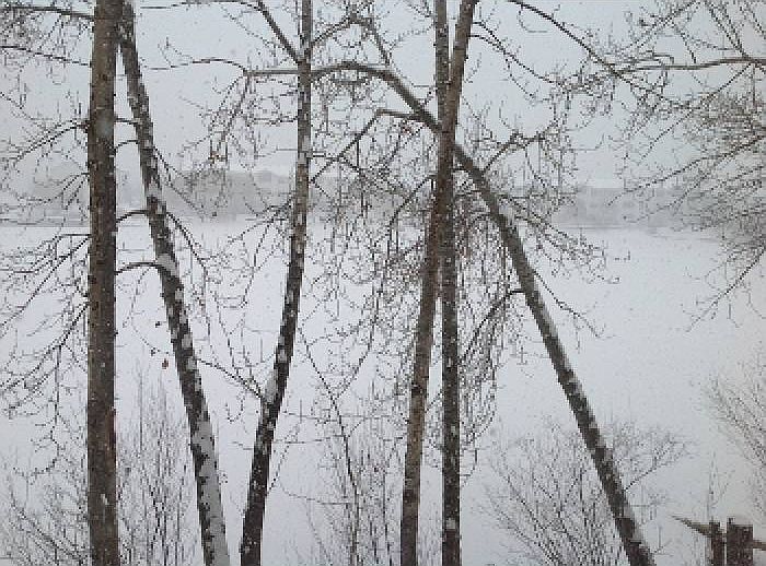 Winter Lake