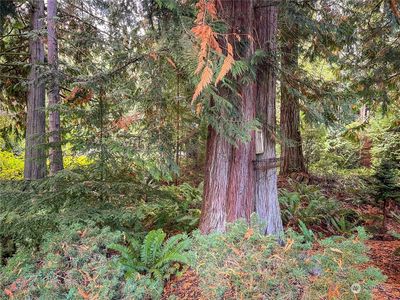 573 (TBD) Highland Drive, Pt Ludlow, WA, 98365