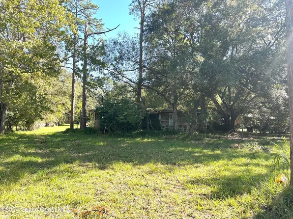 1263 Saint Nicholas Ave, Christmas, FL 32709