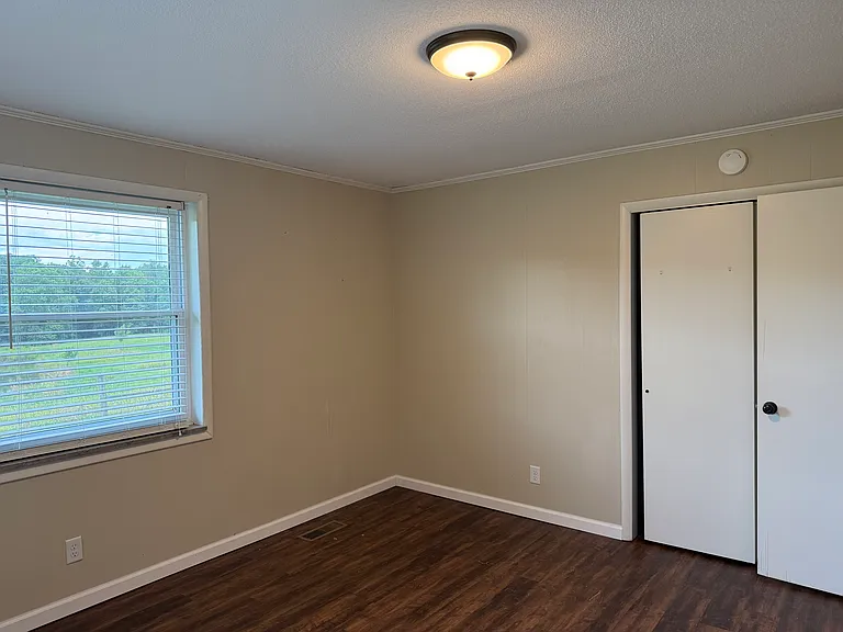 373 County Road 64 — Photo 6