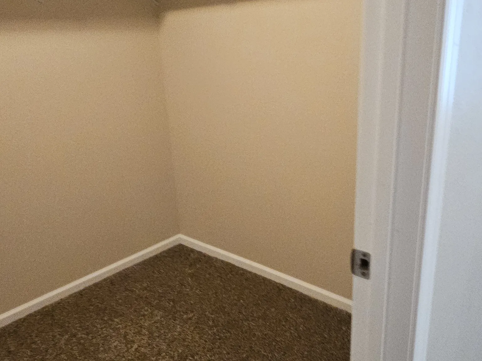 2 bed, $1,250 — Photo 4