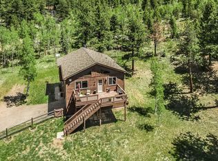 168 Marys Ln, Bailey, CO 80421