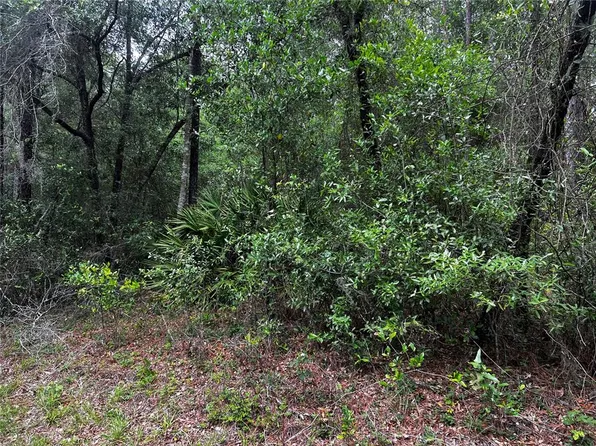 SW 186th Ct Lot 9, Dunnellon, FL 34432