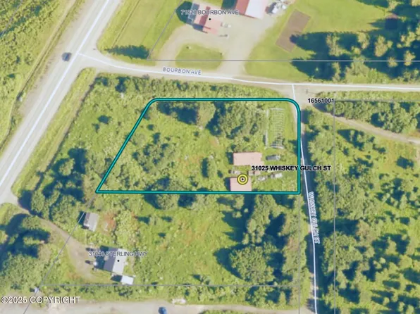 31025 Whiskey Gulch St, Anchor Pt, AK 99556
