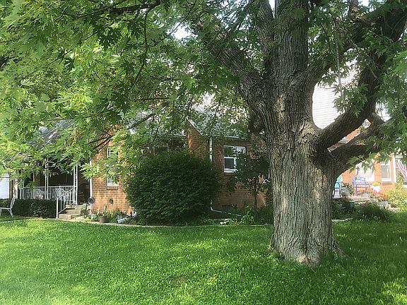 Nice afternoon shade