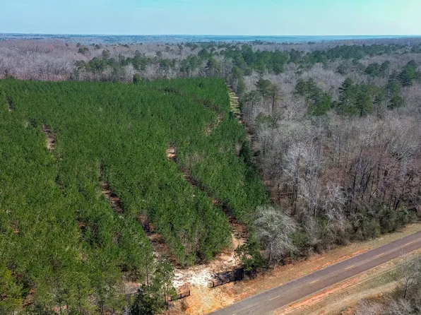 0 Dozier Rd, Ellaville, GA 31806