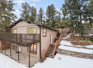 133 Crestview Ln, Bailey, CO 80421