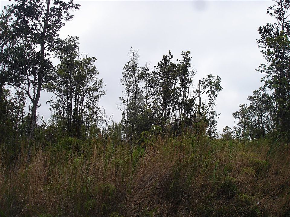 2nd image of LOT 79 Lot 79