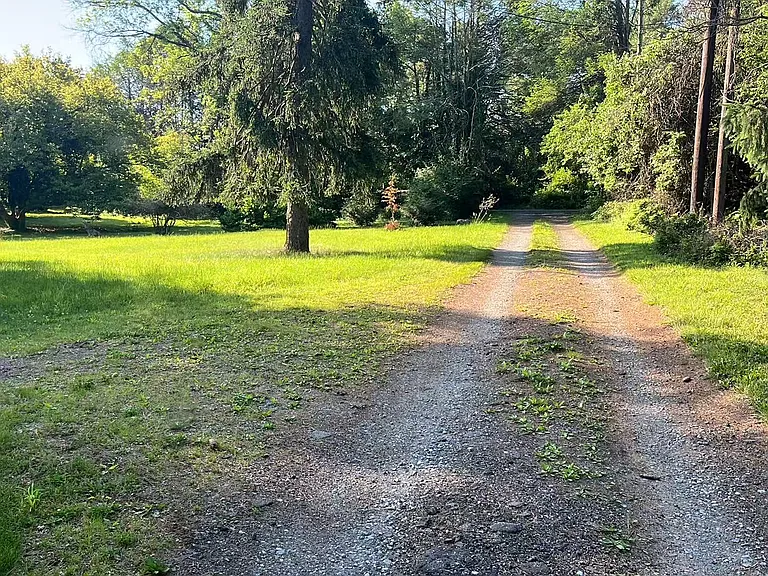 Hectic Hill Ln — Photo 8