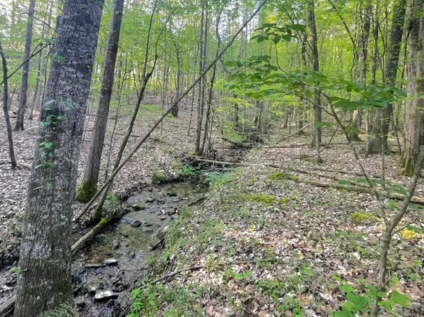 0 County Road 55, Russellville, AL 35653