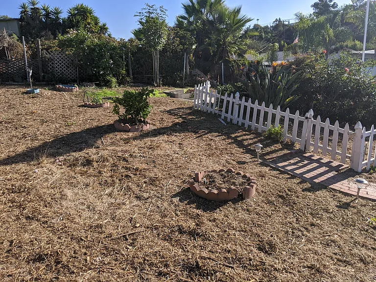 Huge open yard, ready for planting and gardening!