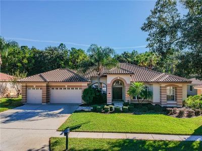 4657 Juniper Dr, Palm Harbor, FL, 34685