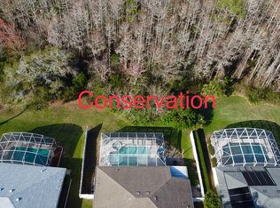 513 Nature Creek Ln, New Smyrna Beach, FL 32168