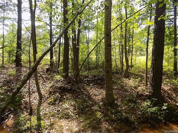 5th image of County Road 61