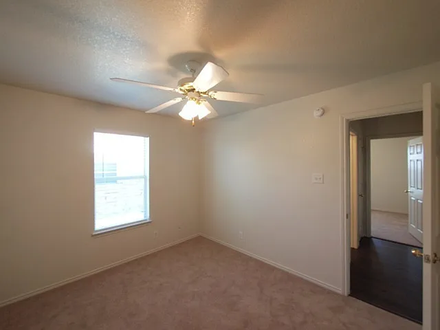 3812 Tiger Dr — Photo 14