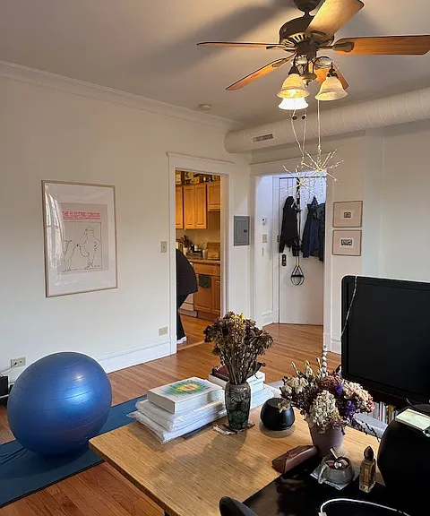 4630 N Lincoln Ave #2N — Photo 10