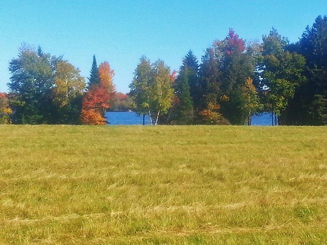 2nd image of Butternut Lake Lot#9