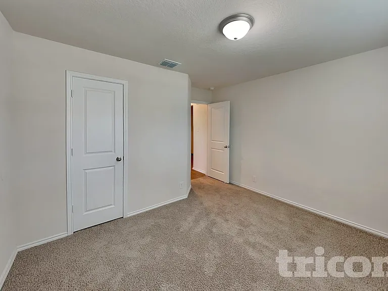 15406 Shortwing — Photo 9