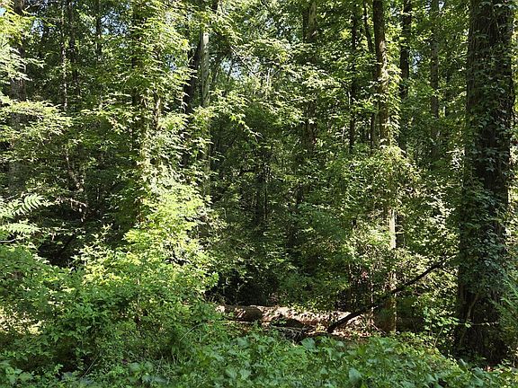 4th image of 1898 Wood Valley Rd