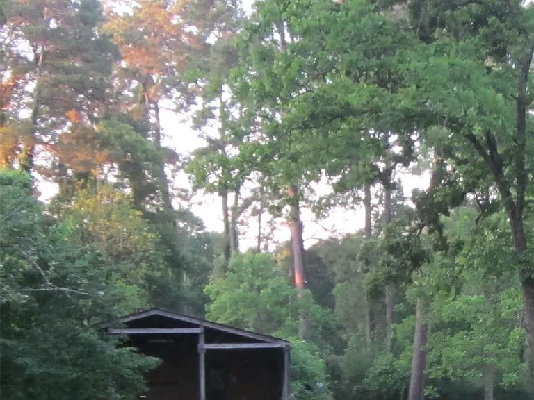 4018 E Mossy Oaks Rd — Photo 11