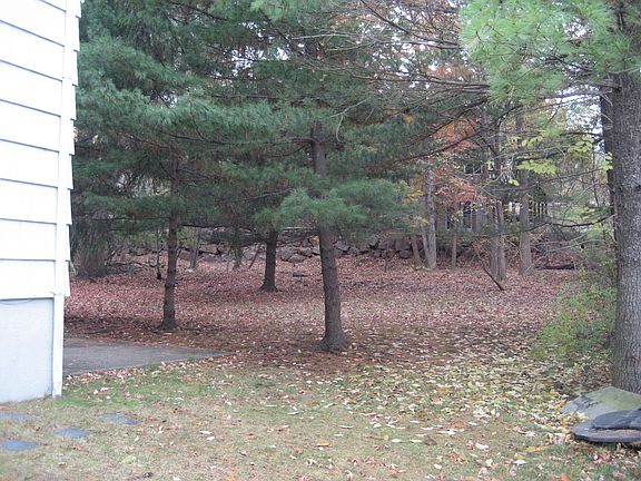 Nice Back Yard