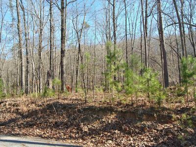 358 Dogwood Ln, Ashville, AL, 35953