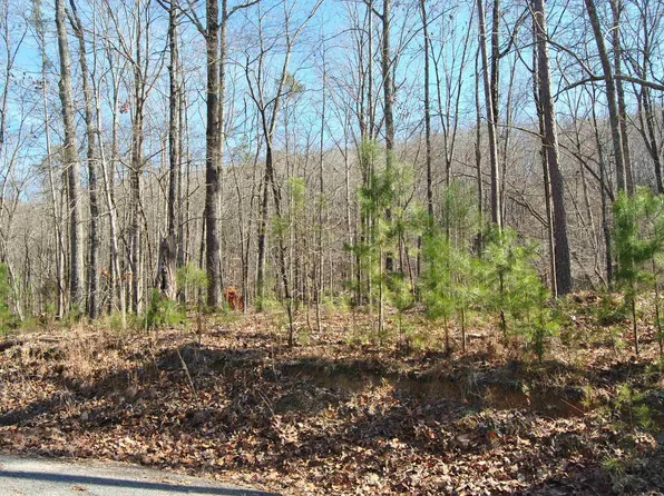 358 Dogwood Ln, Ashville, AL 35953