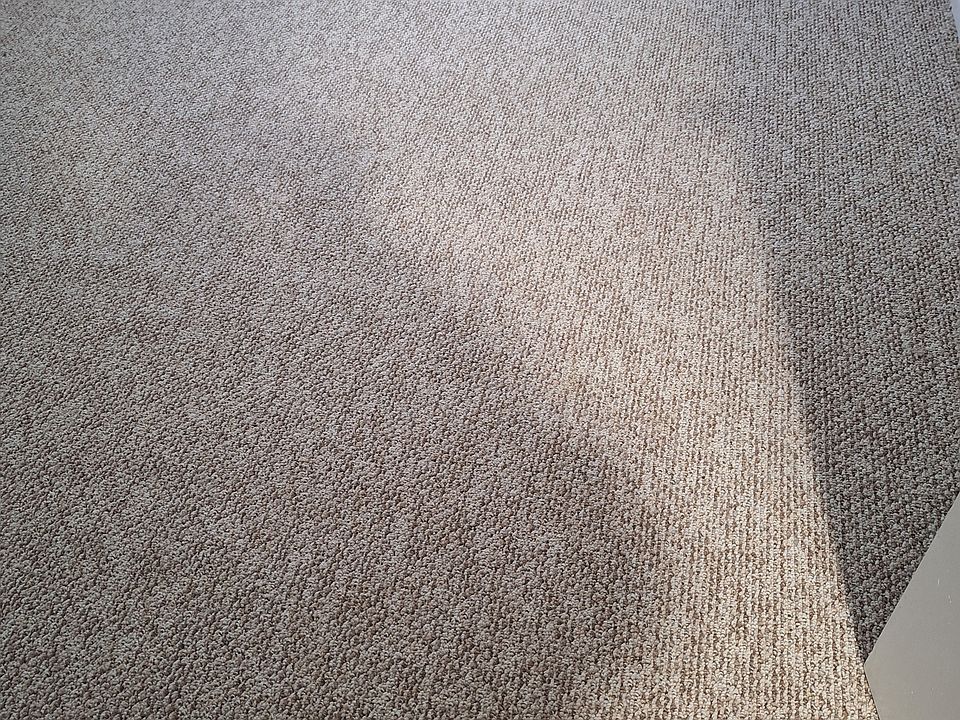 NEW Carpet in Living Room and Bedroom