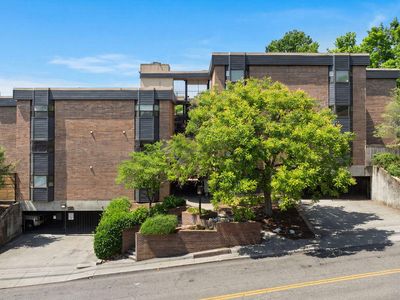 509 11th St APT 4002, Knoxville, TN, 37916