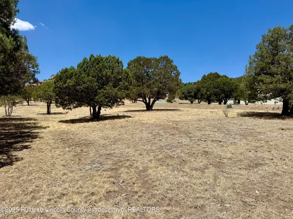 104 Antler Dr, Alto, NM 88312