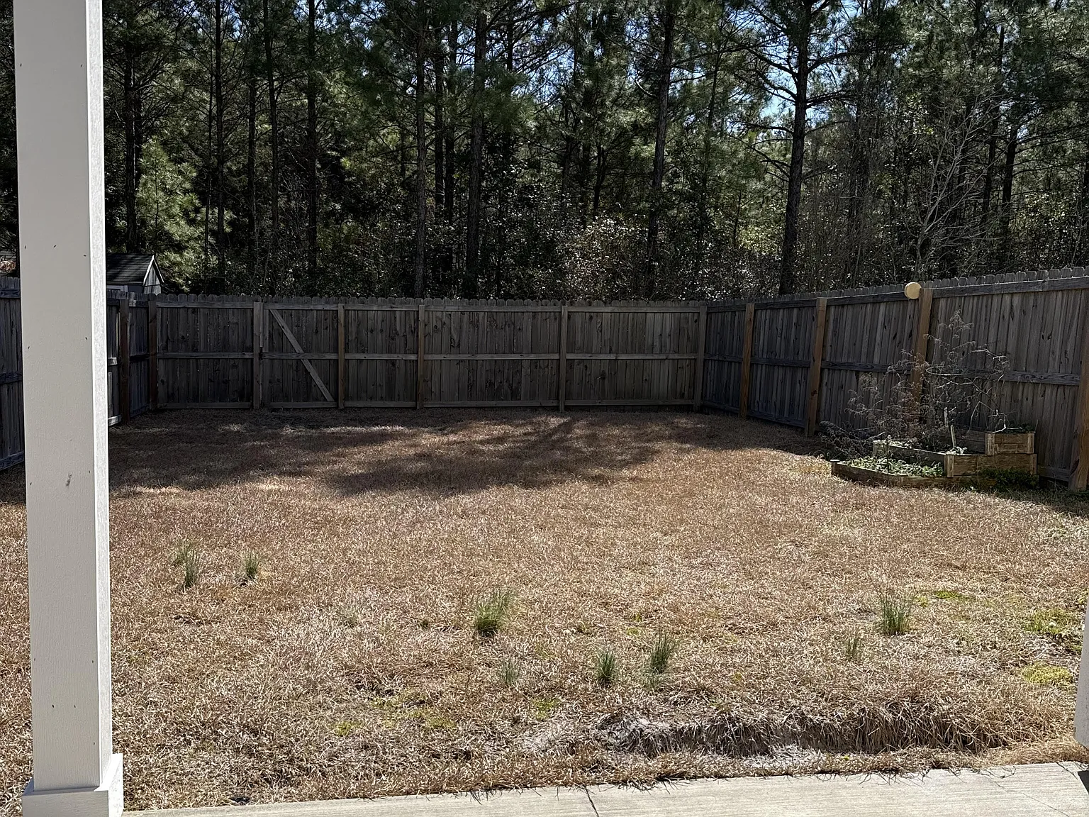374 Frisco Way - 1 — Photo 3
