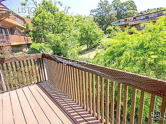 Looking towards Parks land from rear deck