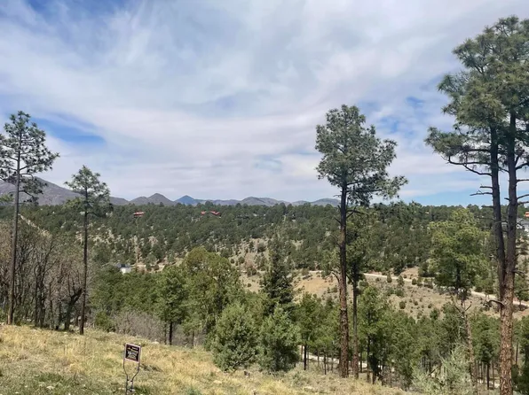 L35 El Camino Dr #3, Alto, NM 88312