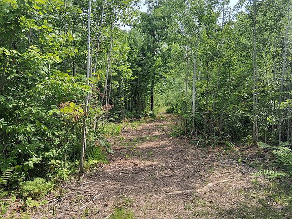 3rd image of PARCEL 1 County Road T
