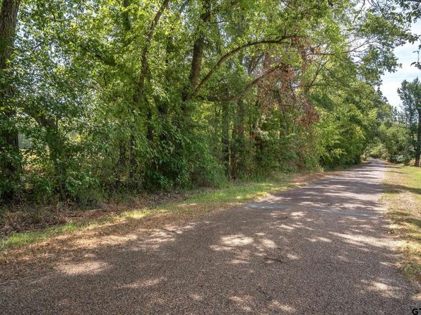 0 Vz County Road 4415, Ben Wheeler, TX 75754