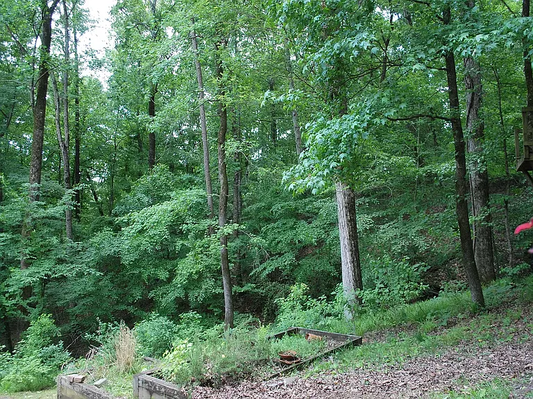 165 Deer Run — Photo 37