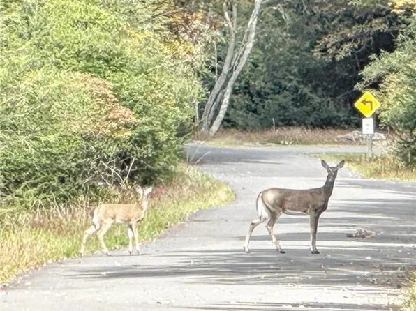 0 Hunter Ln, Albrightsville, PA 18210